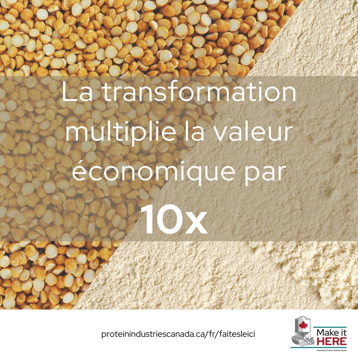 Protein Industries Canada tweet media