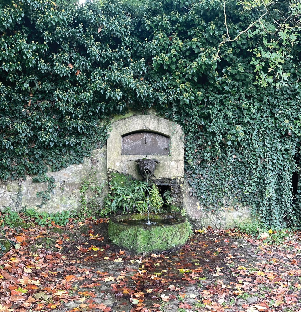 Heather A. WARFIELD, PhD tweet media