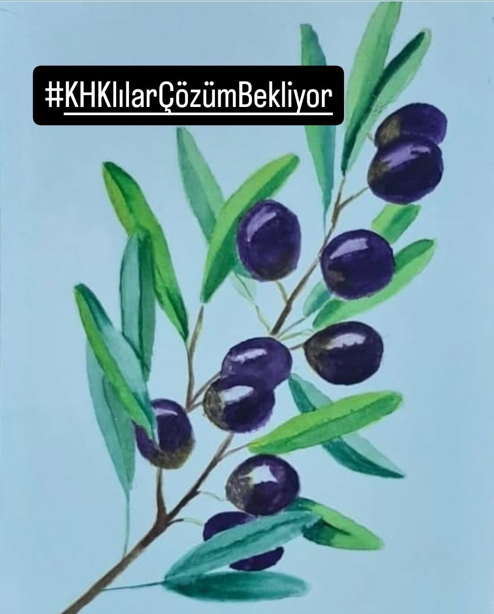 Bir milyondan fazla insan, “iltisak ve irtibat” gibi muğlak gerekçelerle işinden ve özgürlüğünden edildi.
Bu insanlar merhamet değil, adalet istiyor.
Adalet olmadan huzur da olmaz.
#KHKlılarÇözümBekliyor