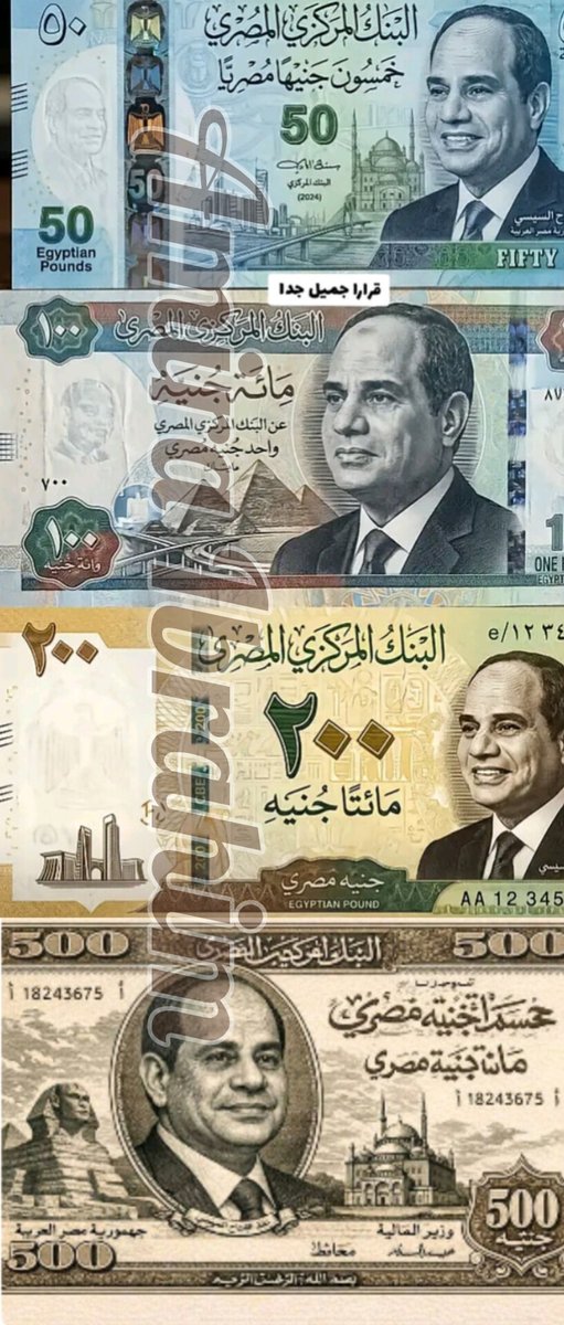 Amira Ibrahim tweet media