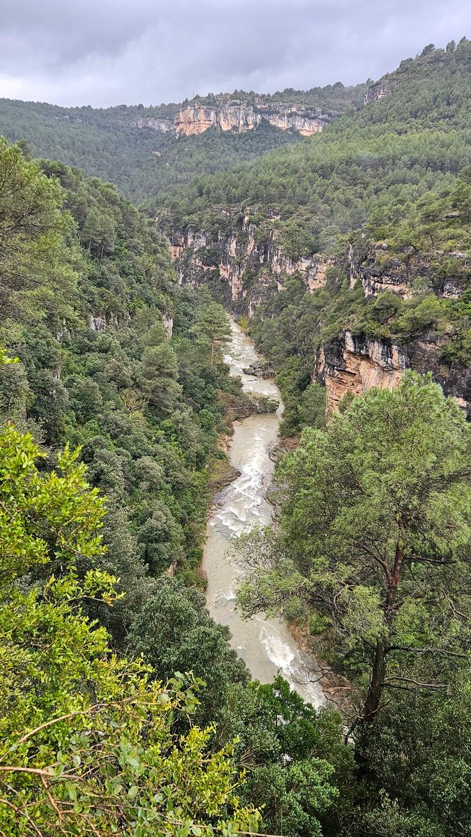 pijoan_jordi's tweet photo. #riuGaià #Querol https://t.co/BLH4U1W0Xt