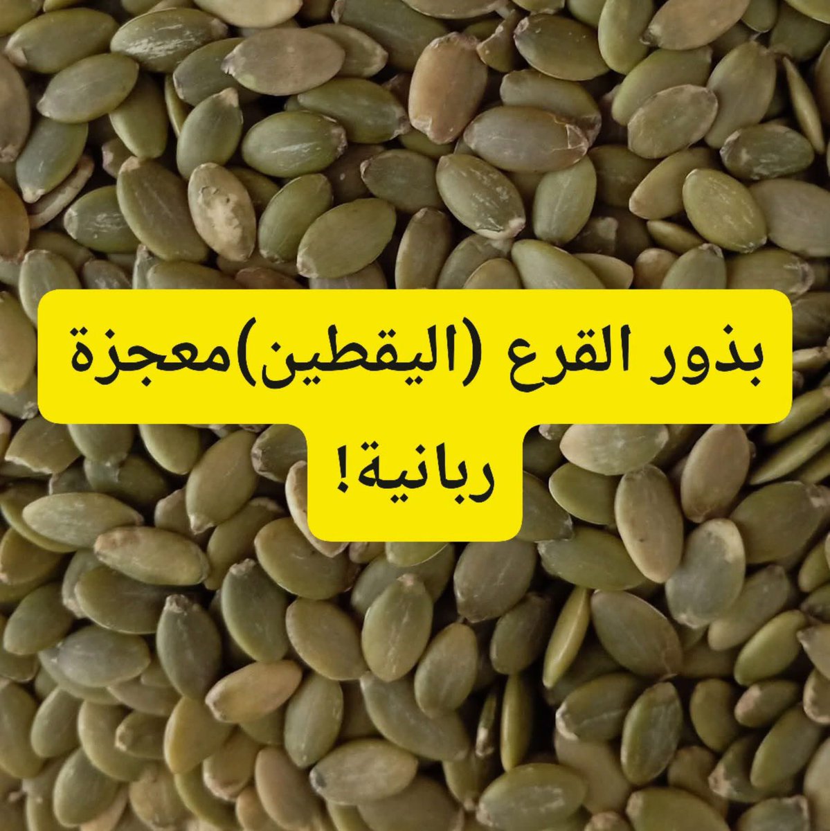 akiluno_a's tweet photo. للرجال والشباب
بذور القرع تعتبر رقم واحد للوقاية وعلاج تضخم والتهاب البروستات والمجاري البولية  و التناسلية عند الرجال كبار السن والشباب
تعالج بقوة تضخم البروستات والتهاب البروستات وضمور حجم الخصـــ*ـــة ، ترفع من هرمون الذكورة ( تستوستيرون ) 
مقوية للرغبة تعالج العقم وتنشط حركة الحيوان المنوي ، تسهل عملية طرح البول ، تنظف المجاري البولية ، مقوية للمعدة والجهاز الهضمي ، مقوية للذاكرة 
تؤخد على صورتها الطبيعية بعد إزالة القشور عنها ، بمعدل ملعقة كبيرة صباحا و ظهرا ومساءا يوميا .