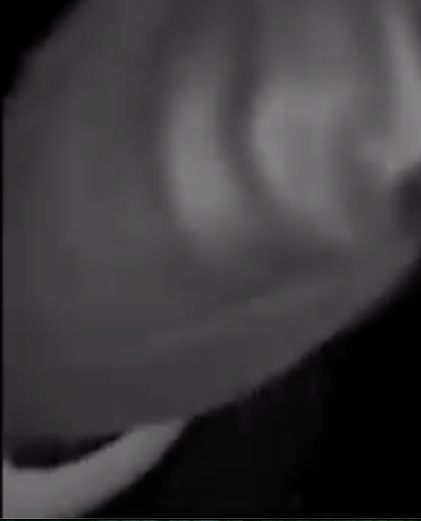 ABetterWorld tweet media