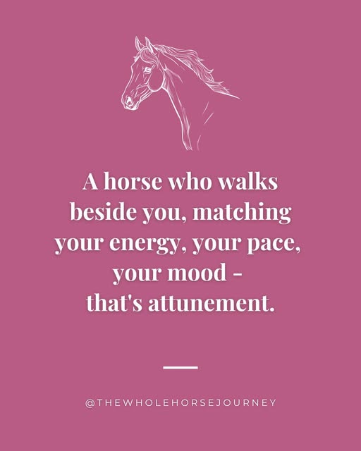 Can Praxis tweet media