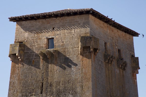 ElCampoAmarillo's tweet photo. Este gigante de piedra en Covarrubias lleva más de mil años vigilando el nacimiento de Castilla. 

El Torreón de Fernán González es el "abuelo" de las fortalezas castellanas. Construido en el siglo X, sus muros de más de dos metros de espesor no se diseñaron para el lujo, sino para la pura supervivencia en una frontera peligrosa y cambiante. Su estructura es un ejemplo excepcional de arquitectura militar altomedieval que ha sobrevivido a asedios e inviernos implacables. 

Aunque la tradición popular envuelve sus muros con la trágica leyenda de la infanta Doña Urraca, la realidad histórica es que el edificio fue el "búnker" de una época donde poseer una torre alta era la única forma de garantizar la defensa del territorio. Su puerta original, situada en altura para dificultar el acceso, nos habla de un tiempo donde la seguridad lo era todo.