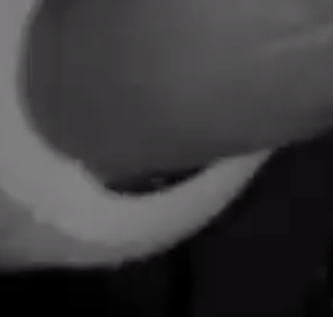 ABetterWorld tweet media