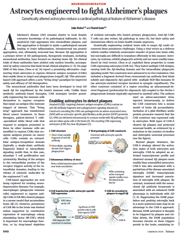 Jose Ramos Vivas tweet media