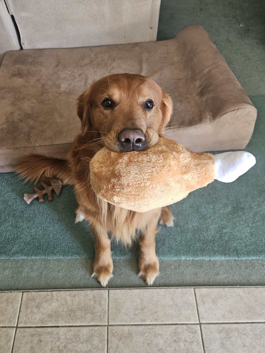 Tracy Horgan tweet media