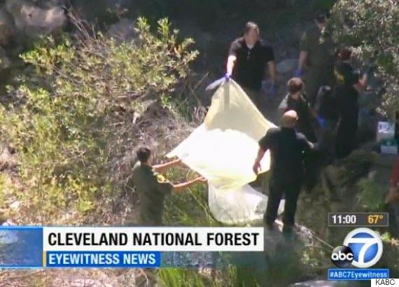 Detective Perspective tweet media