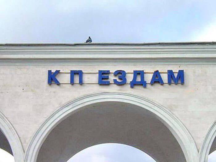 Виталя пишет код tweet media
