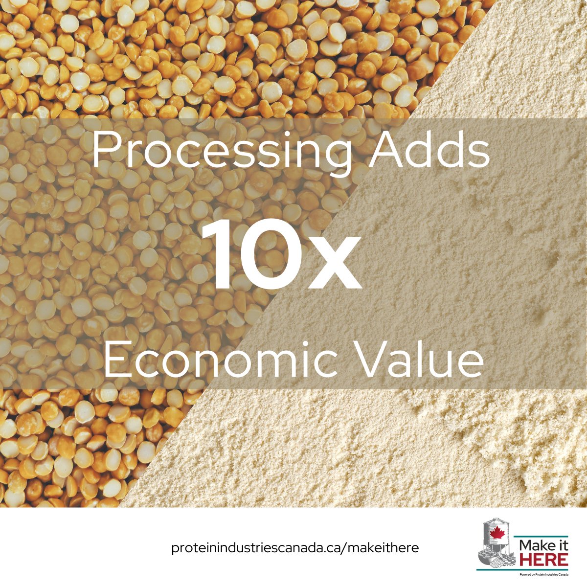 Protein Industries Canada tweet media