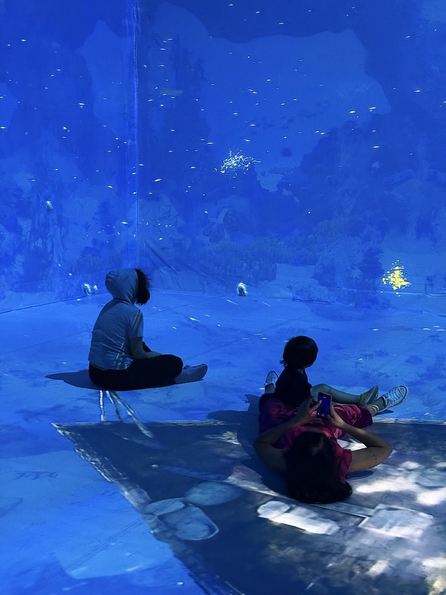 Eu Sou de Uberlândia tweet media