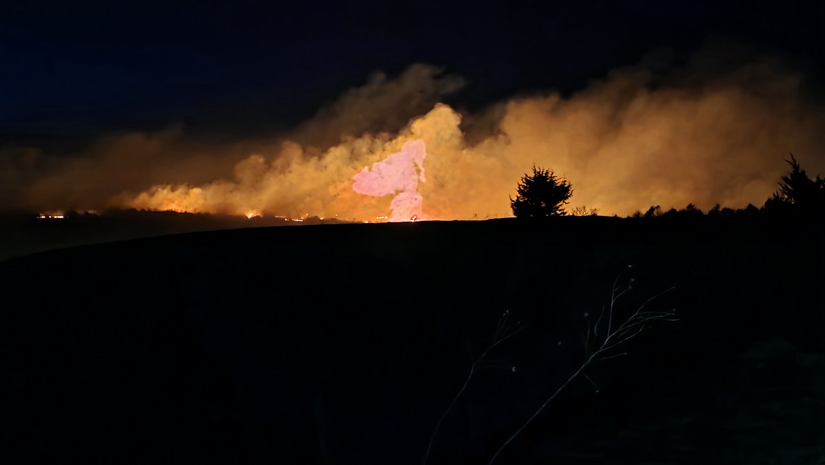 Conservation Blueprint tweet media