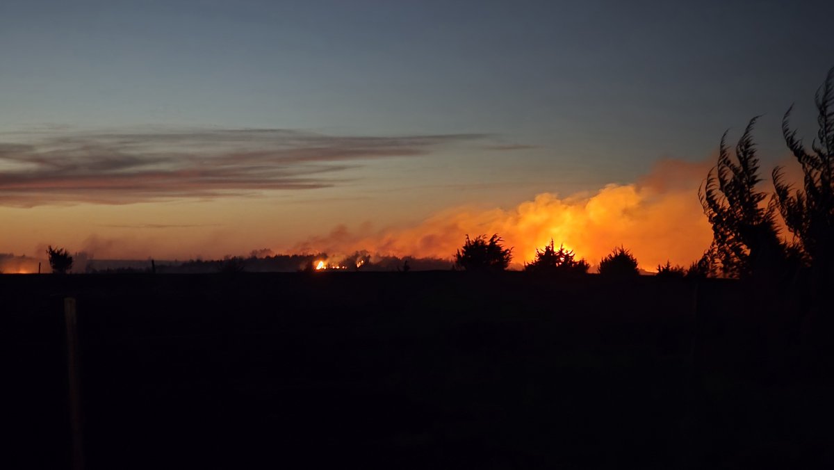 Conservation Blueprint tweet media