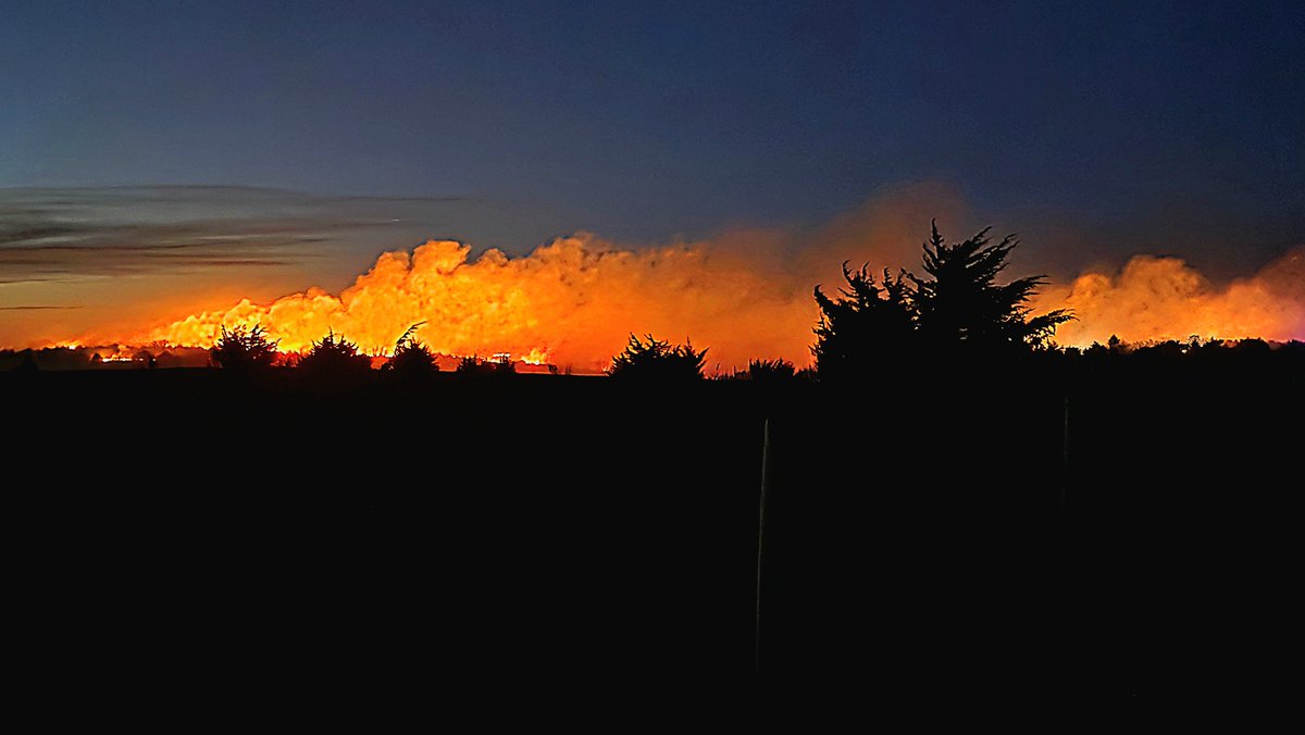 Conservation Blueprint tweet media