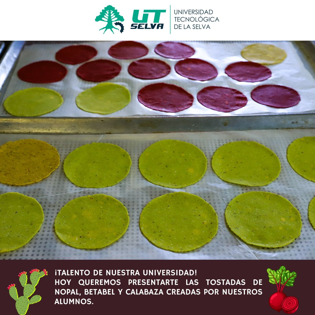 Hoy presentamos tostadas de nopal, betabel y calabaza, una creación de nuestros alumnos.