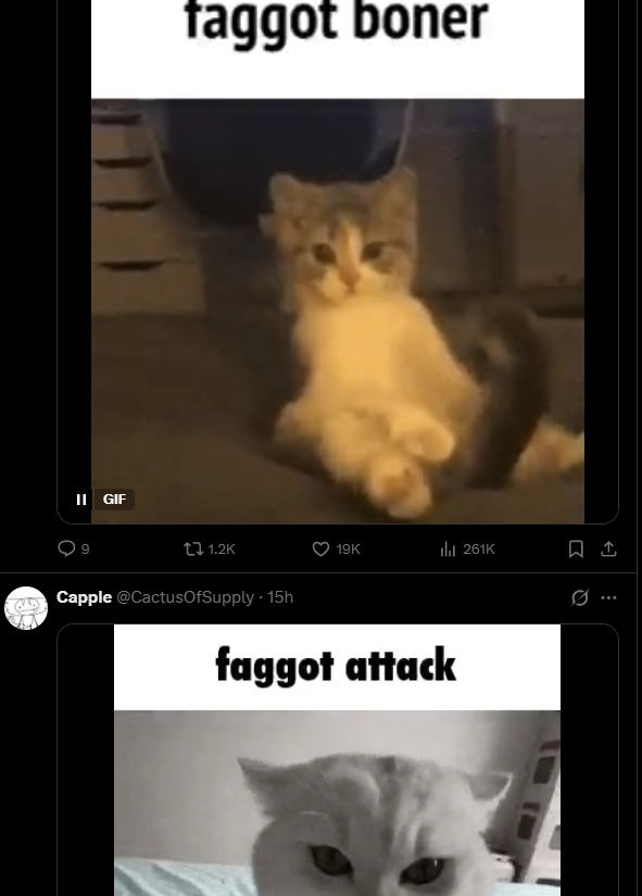 Daily Theo tweet media