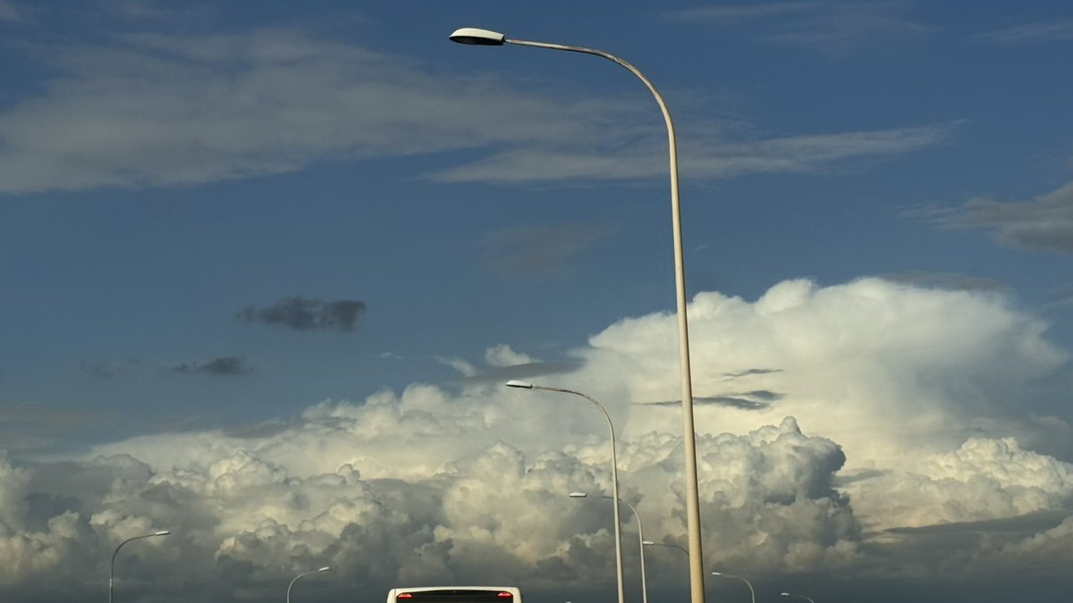 Meri Sariol 🎗 tweet media