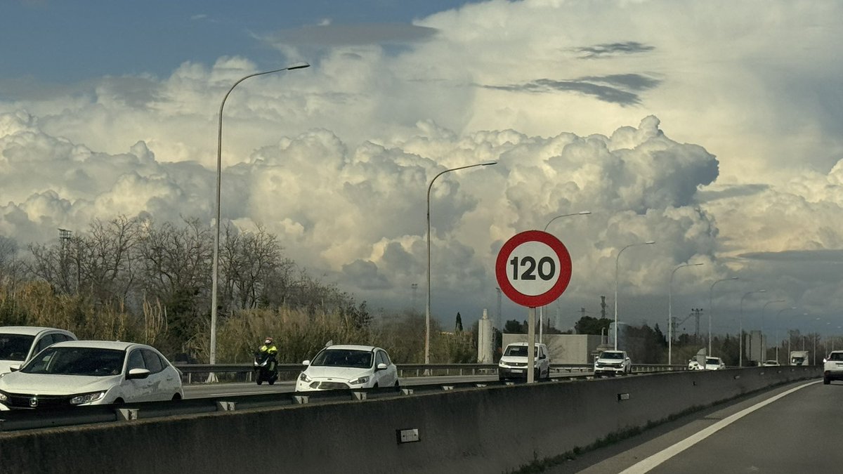 Meri Sariol 🎗 tweet media