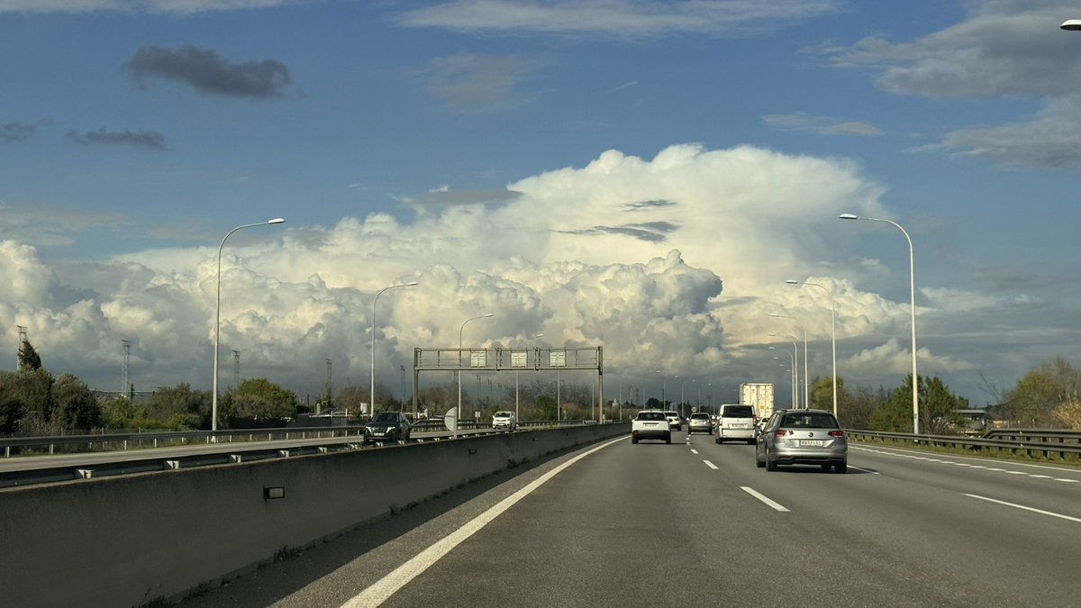 Meri Sariol 🎗 tweet media