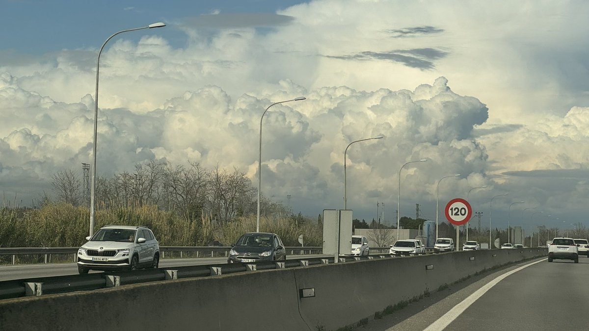 Meri Sariol 🎗 tweet media