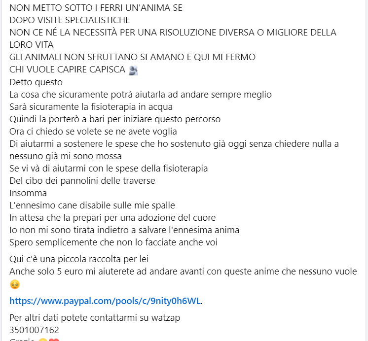 URGENTE🆘🆘🆘🆘☎️3501007162🐕Perché sanno amare con lealtà e fedeltà e vivono senza avere una lussuosa dimora 
facebook.com/watch/?v=12583…
Michelle e meravigliosa❤️, è stata investita ed ha colonna rotta  paypal.com/pools/c/9nity0…     AIUTIAMOLA #4voiceless