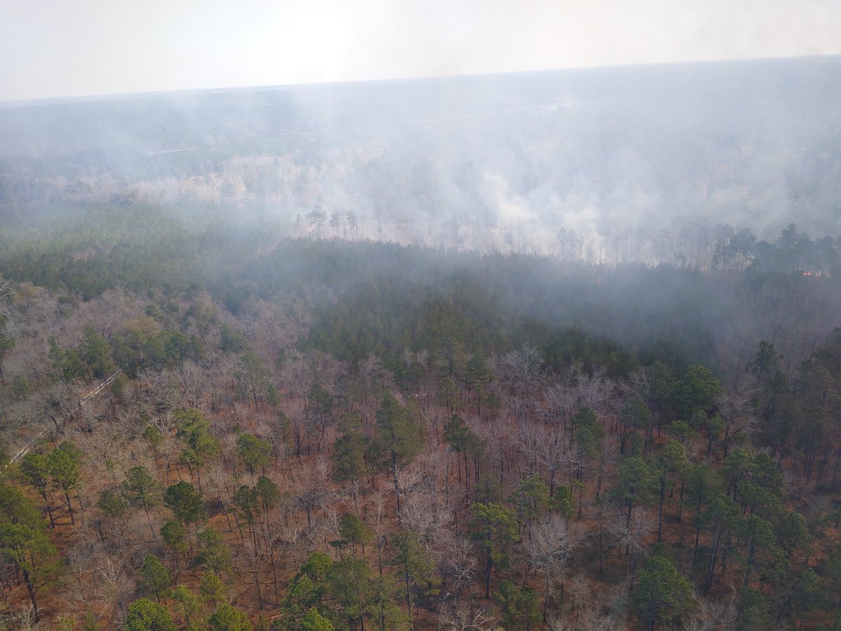SavannahRiverFS's tweet photo. To help promote forest health and reduce potential wildfire fuels, a 1300-acre hand and aerial ignition prescribed fire is being conducted today on @SRSNews. Lights winds should keep off-site smoke impacts minimal. #GoodFire #USFS #ForestHealth #ImproveWildlifeHabitat https://t.co/dATHm3RU67