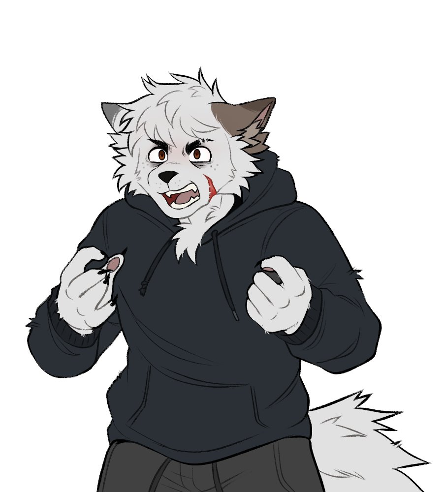 Daily Theo tweet media