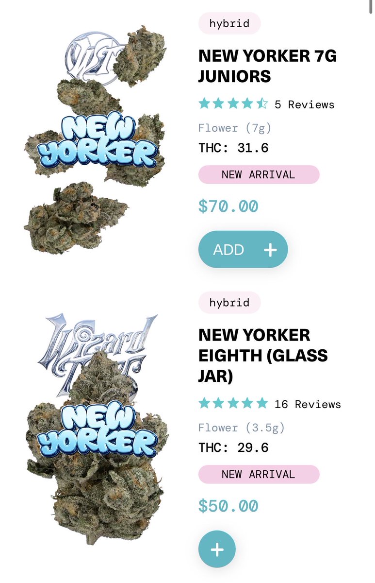 Wizard Trees tweet media