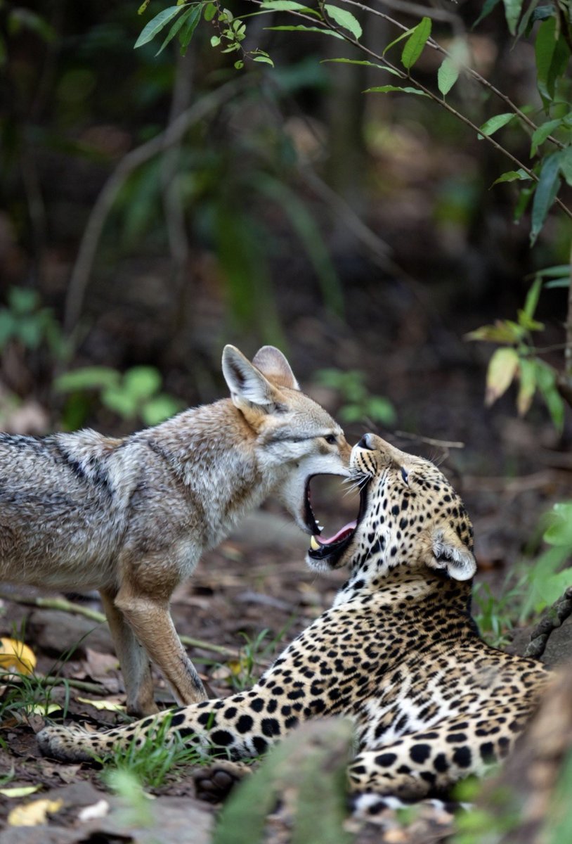 Jim Clarkson tweet media