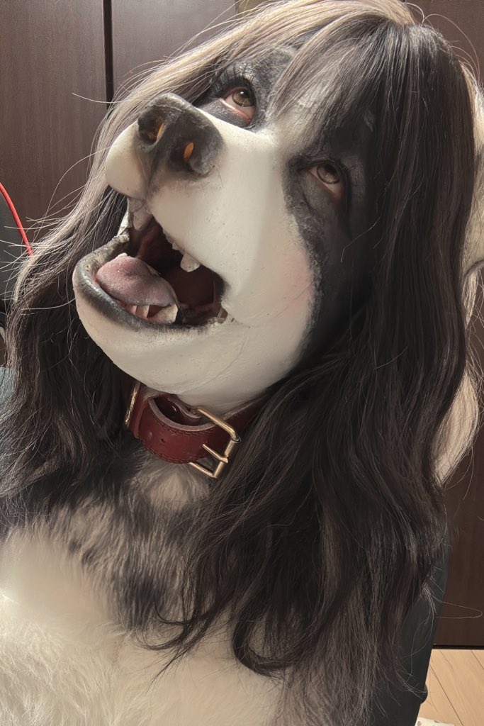 ふぉぐ@ケモメイク tweet media