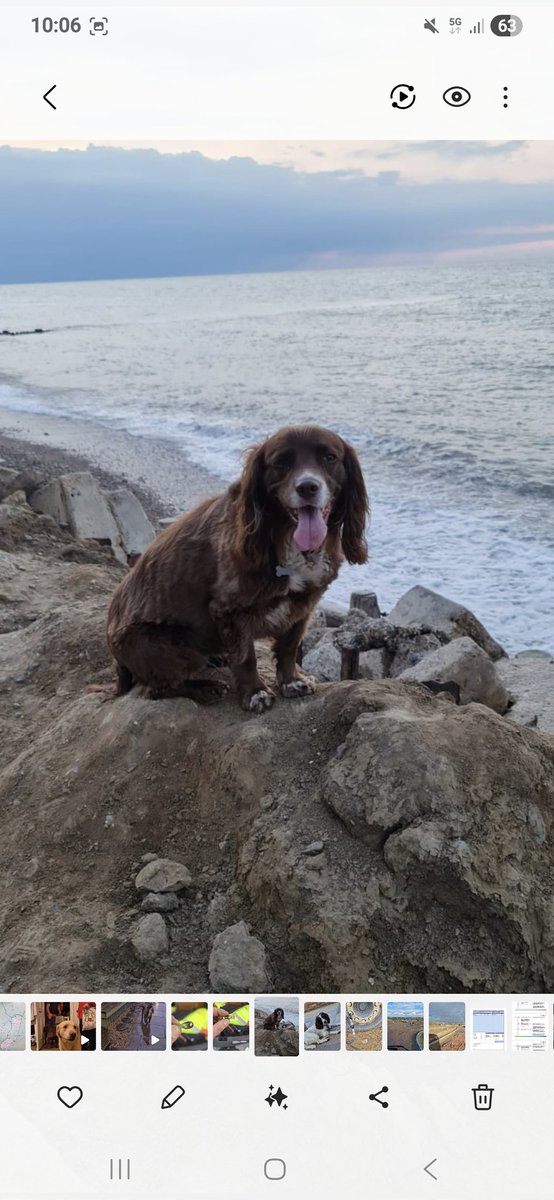 Brettles tweet media