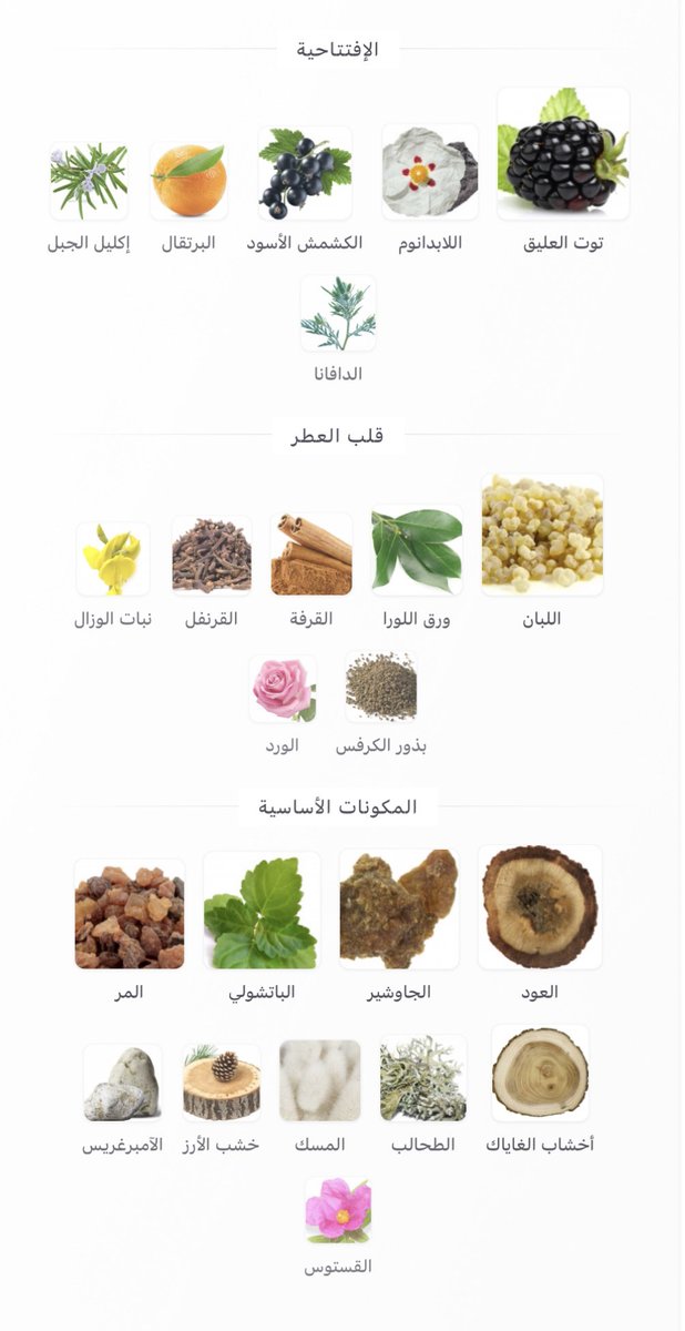 Mussab9188's tweet photo. جوبليشن 40 ، جميييل 💛 https://t.co/XWXDSxNrV0