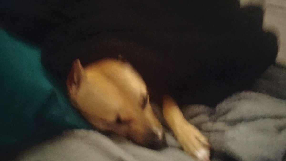 Brian Brunscheon tweet media