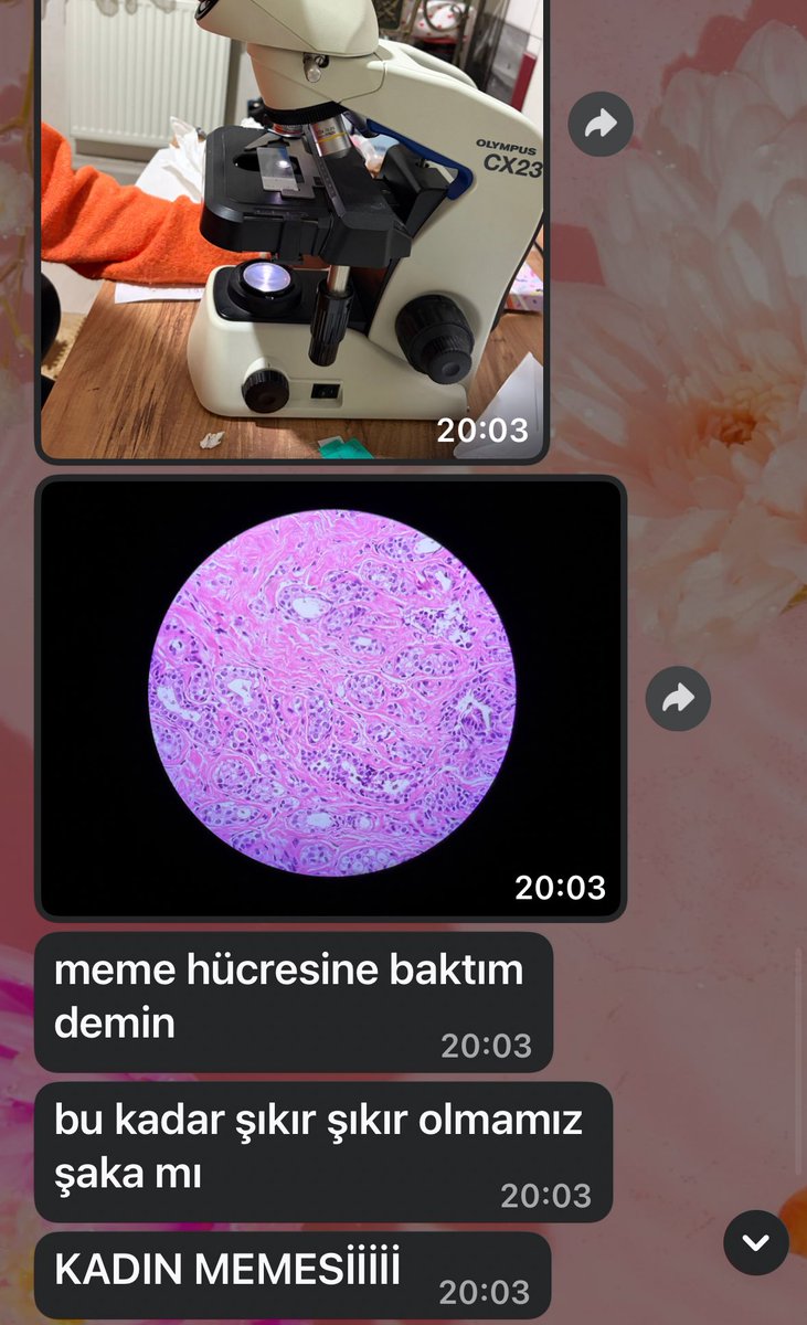 KADIN MEMESİİİİİ