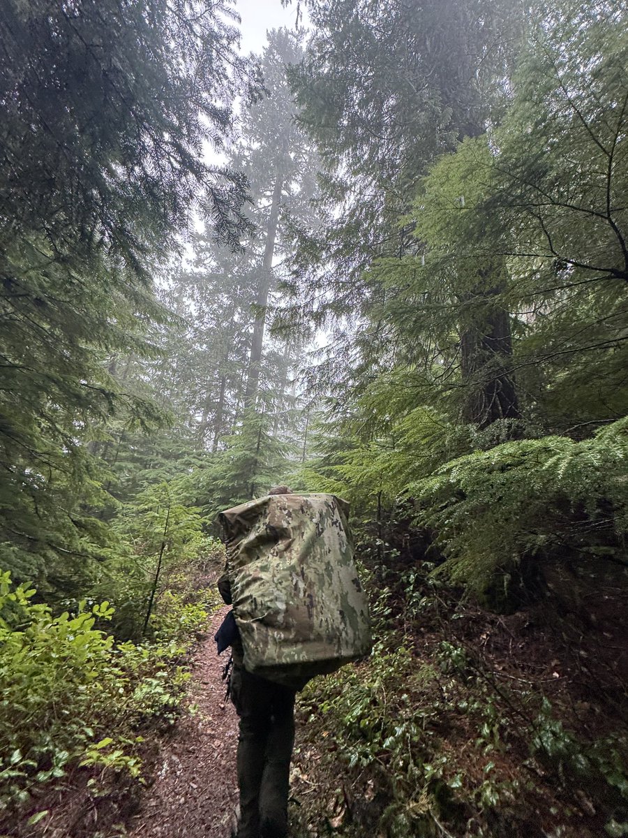 PNWGUERRILLA tweet media