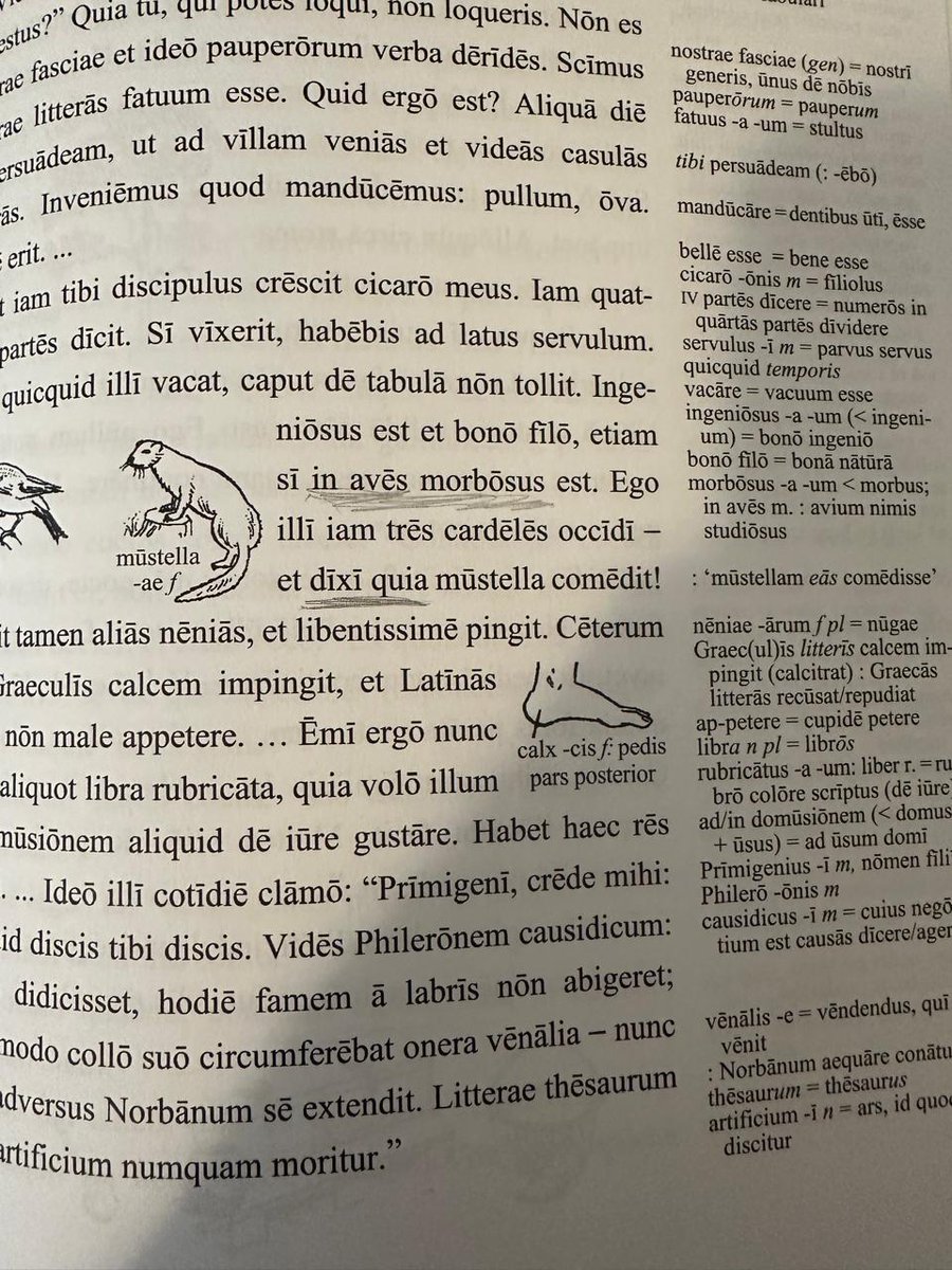 Litterae Christianae tweet media