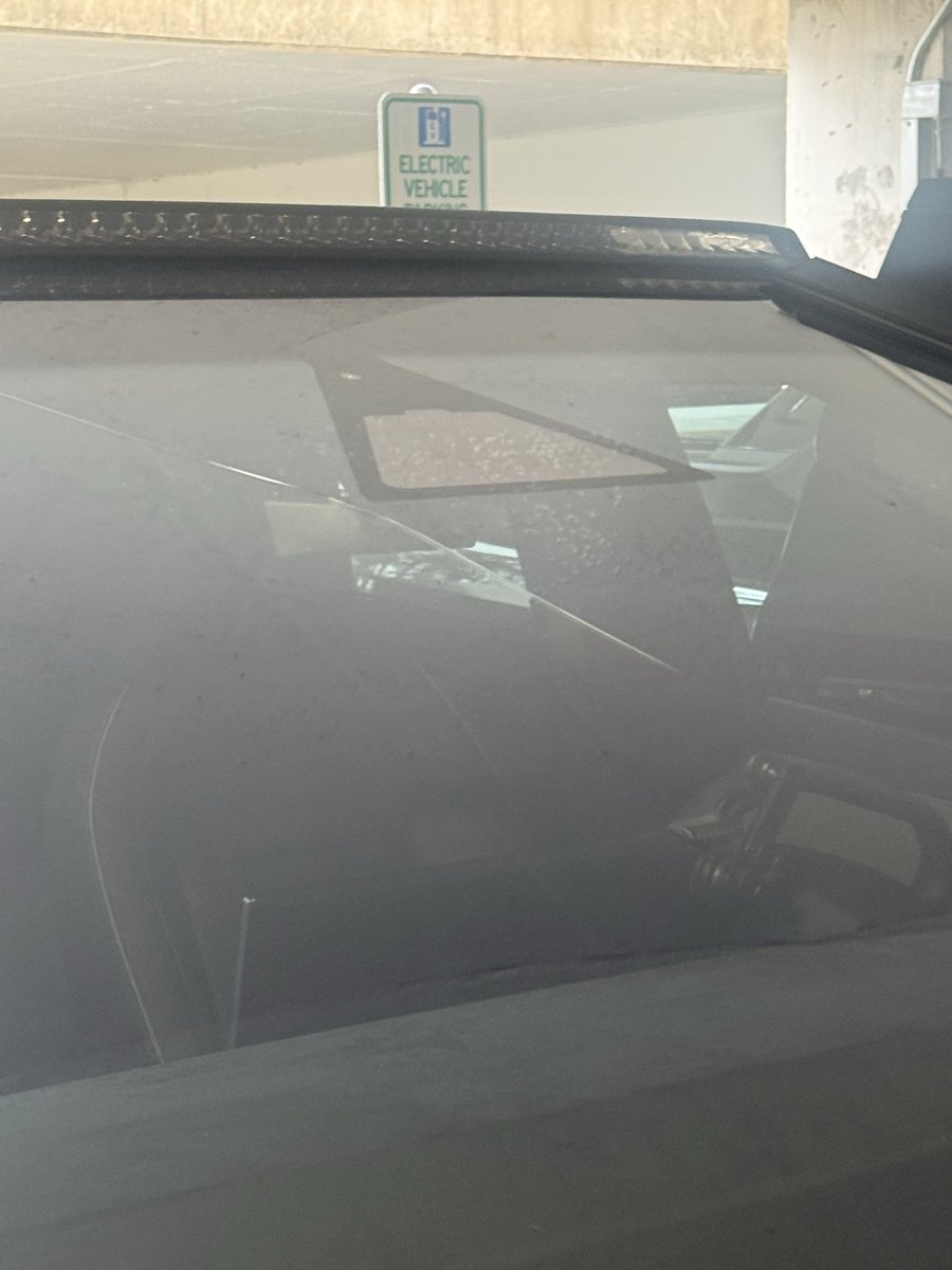 Sergio Rodriguez (Blue Checkmark) tweet media