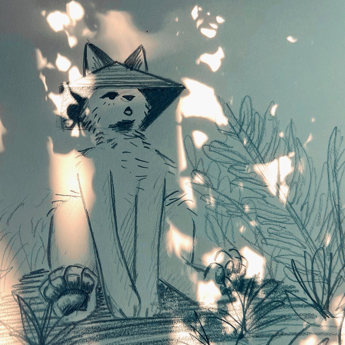 M3OWSFET (cmms open!) tweet media