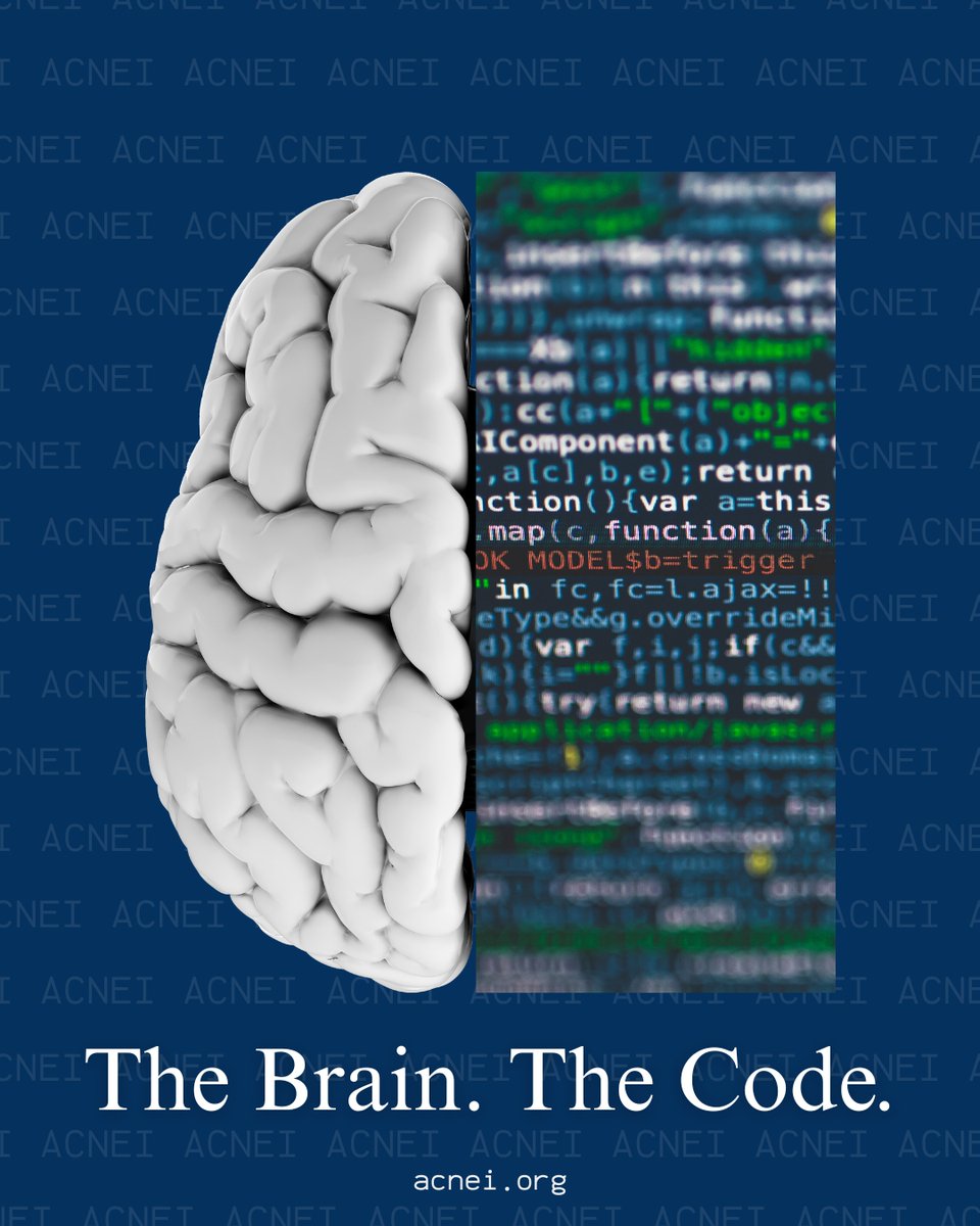 African Computational Neuroscience Educ Initiative tweet media