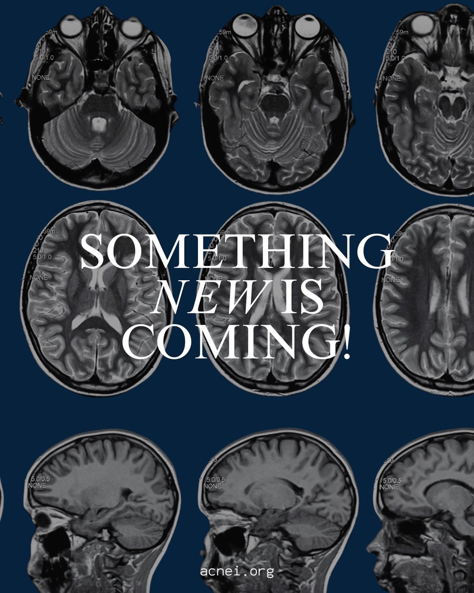 African Computational Neuroscience Educ Initiative tweet media