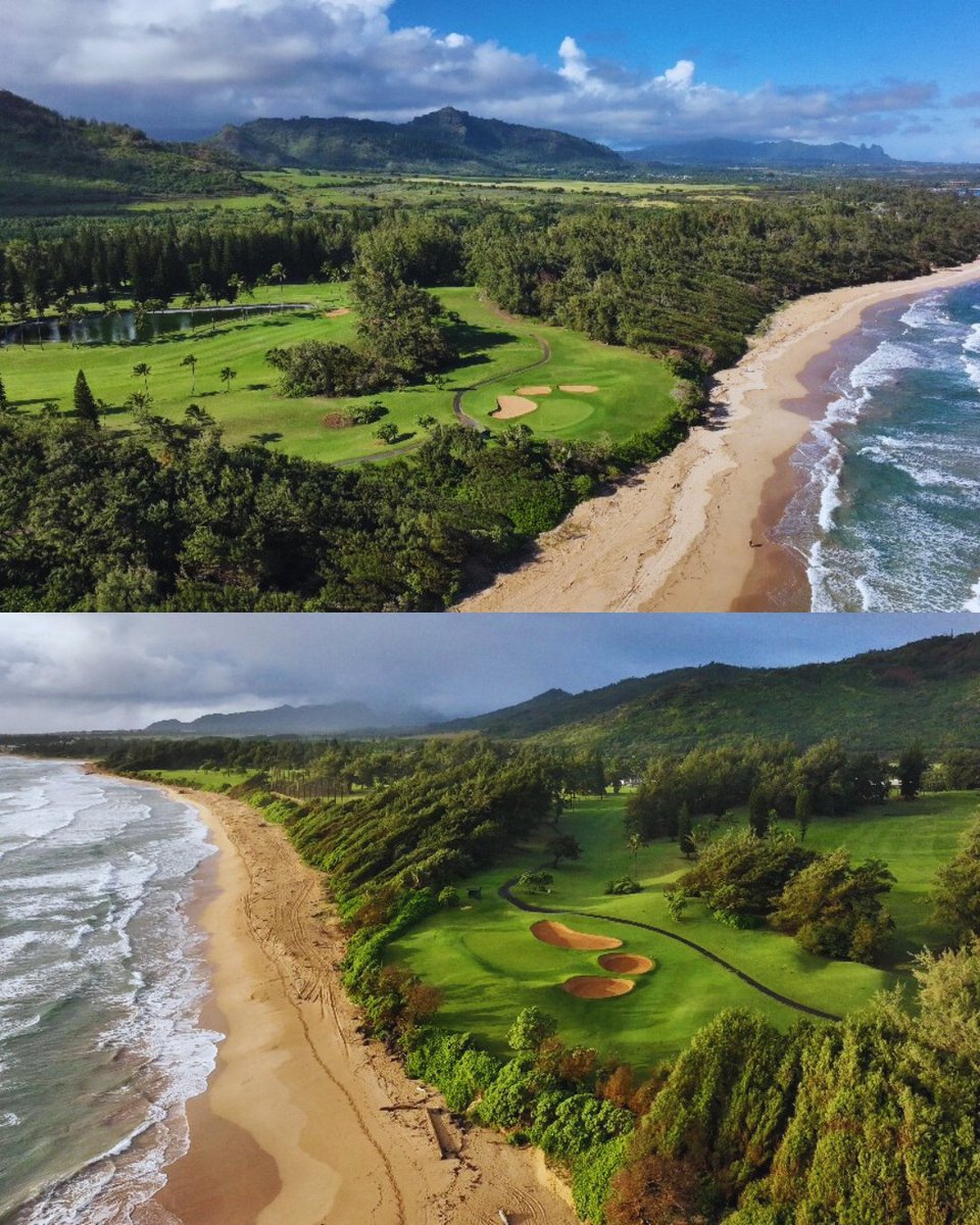 GoGolfKauai.com tweet media