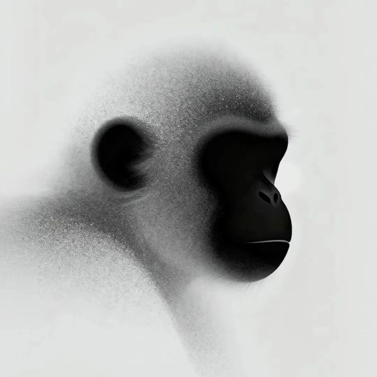 Ramin Nasibov tweet media