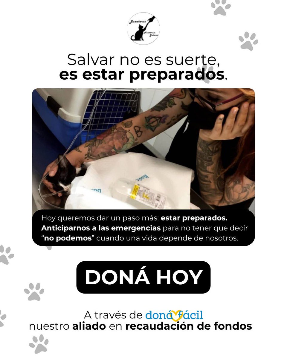 Burakeras Asistencia Gatuna tweet media