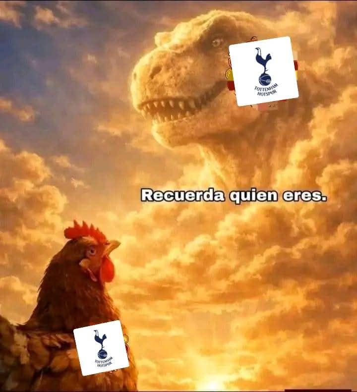 Tottenham Bolivia tweet media
