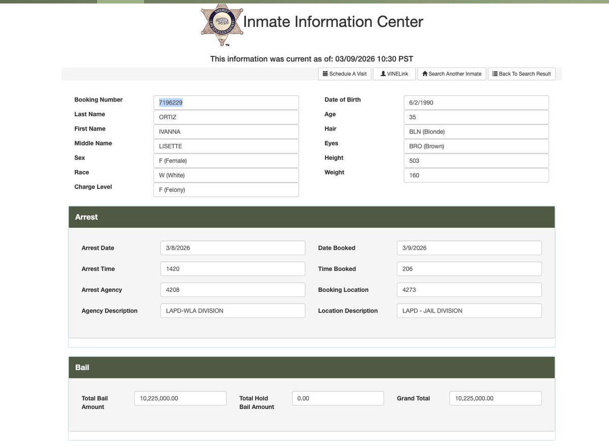 Lauren Conlin tweet media