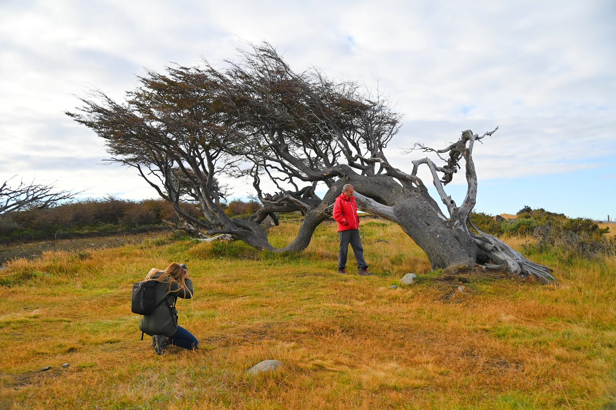 Tierra del Fuego - Fin del Mundo tweet media