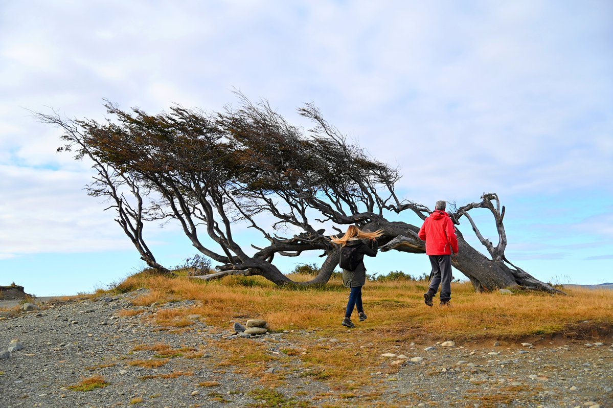 Tierra del Fuego - Fin del Mundo tweet media