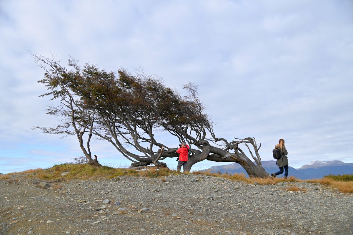 Tierra del Fuego - Fin del Mundo tweet media