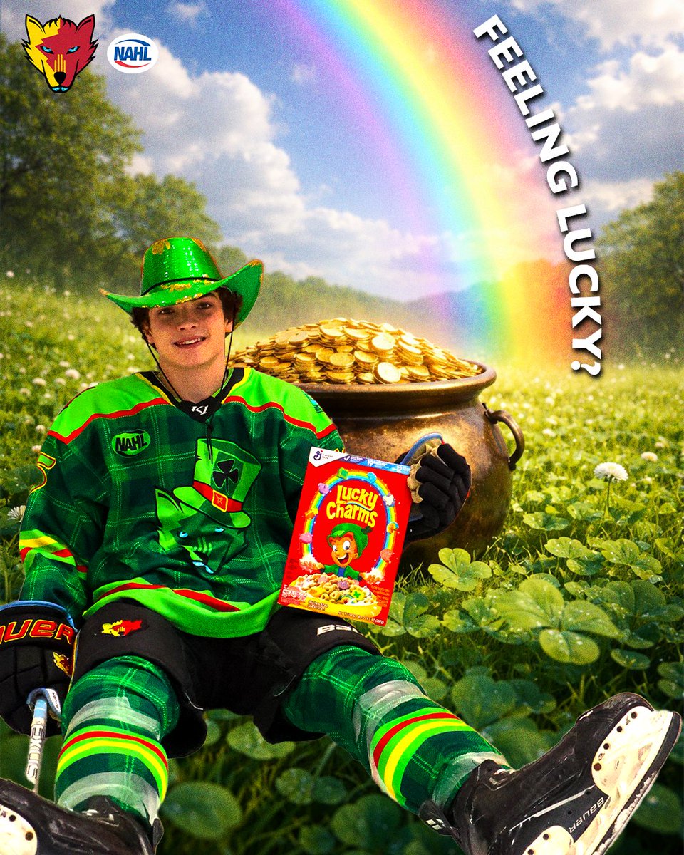 New Mexico Ice Wolves tweet media